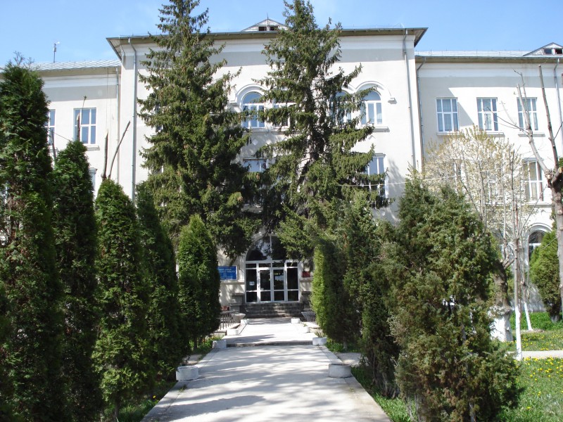 Liceul Voievod Mircea