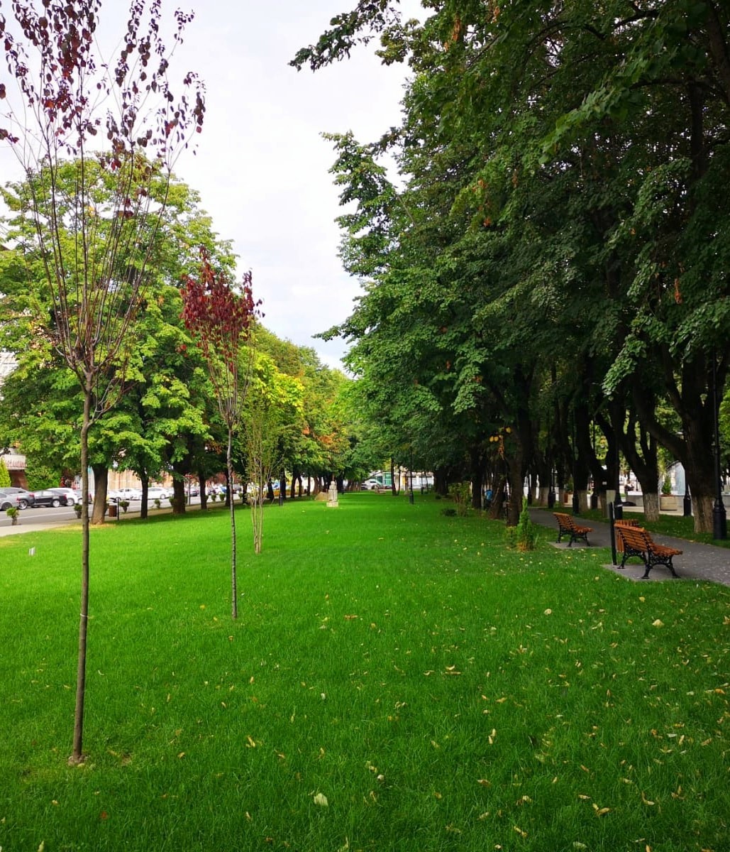 Parcul Mitropoliei view