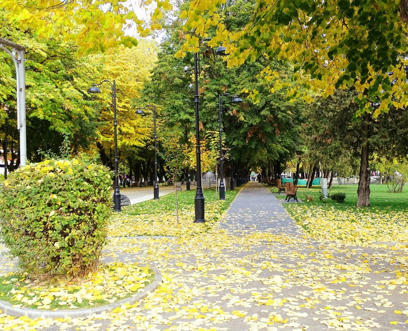 parcul mitropoliei